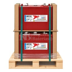 Pack 2 Bater�as TROJAN T-105 | 6 Voltios 225A